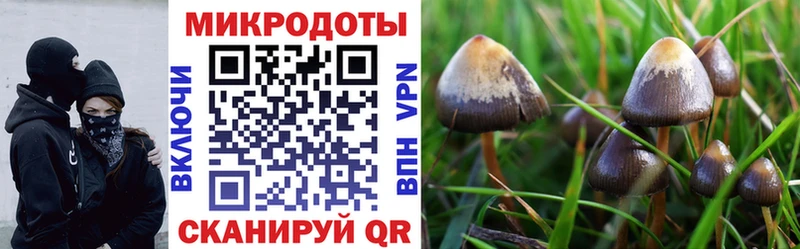 Псилоцибиновые грибы прущие грибы что такое наркотик Ивангород